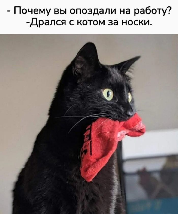 картинка 654d820974 21190317