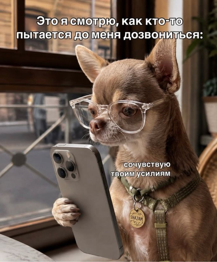 Пятничная терапия смехом ☕️✨ сегодня, осознание, выдохнуть, Самые, жизненные, недели, позитивные, фотографии, чтобы, чтото, небольшую, улыбнуться, легким, сердцем, закрыть, ноутбукДелитесь, комментариях, «антистрессподборку», Поэтому, подготовили