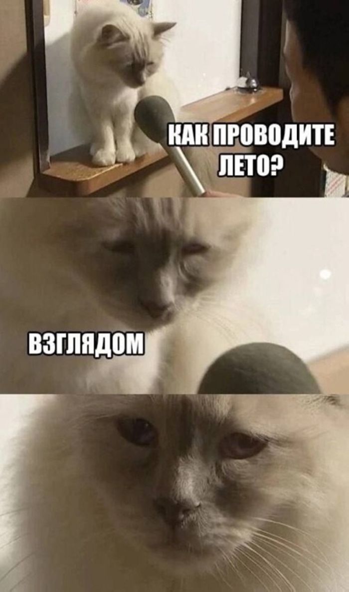 картинка 6dc464ecba esli u vas vse esche est moralnye principy luchshe projdite mimo  8