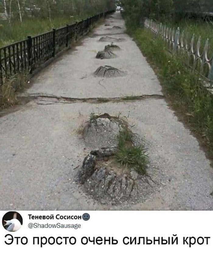 картинка 74336a2998 ostorozhno uroven cinizma zashkalivaet 7