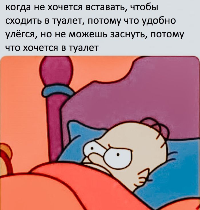 Экватор пройден! 🐪 Среда — это маленькая пятница, а значит, пора подзарядиться позитивом! Середина, позитивных, легкой, пройдет, пусть, друзьями, делитесь, смейтесь, коллегуЛистайте, серьезного, самого, улыбнуться, заставят, точно, которые, картинок, недели, угарных, порцию, свежую