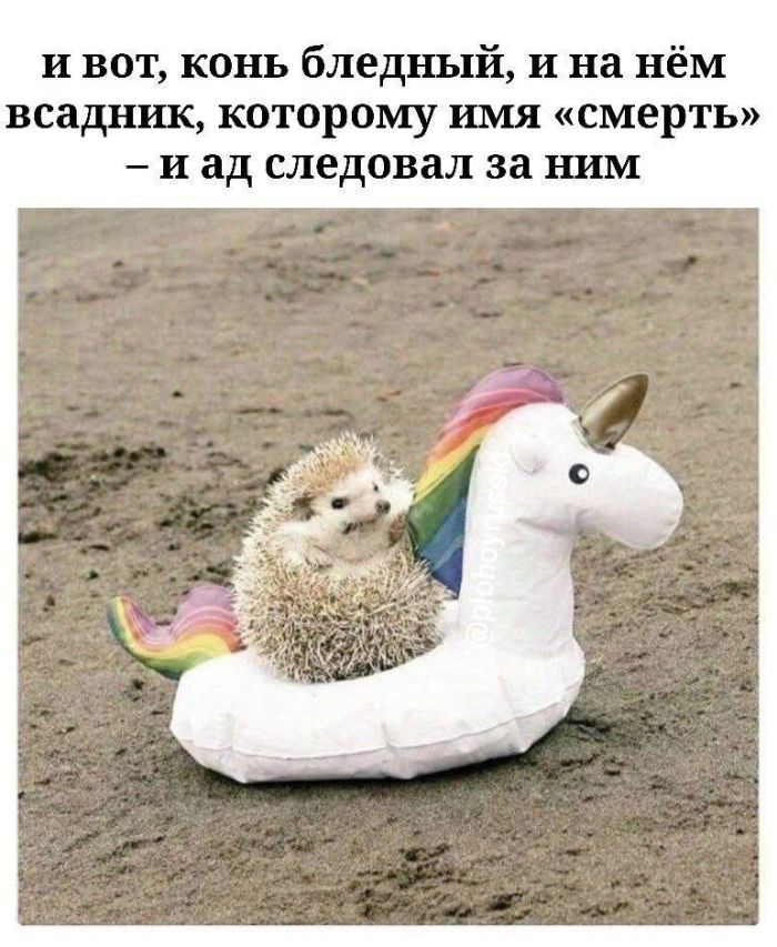 Пятница — маленькая жизнь! 🚀 дождались, последние, которые, поймет, каждый, сегодня, трудом, досиживает, офисе, коллекцию, Листайте, смейтесь, пусть, пролетит, незаметно👇, Заряжаемся, отличные, мемов, юмораСобрали, официально