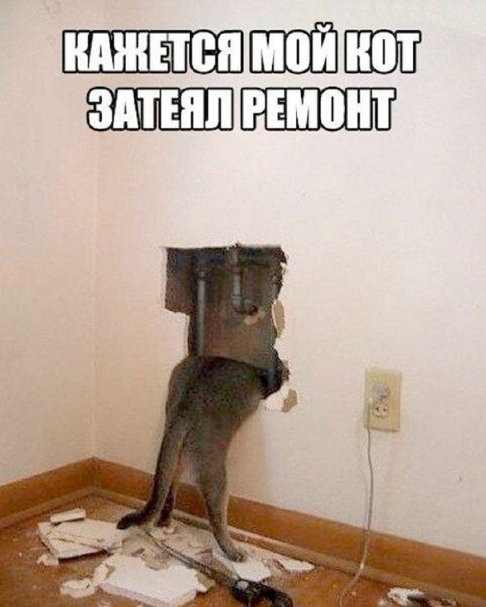 картинка 75aa54703e esli u vas vse esche est moralnye principy luchshe projdite mimo  1