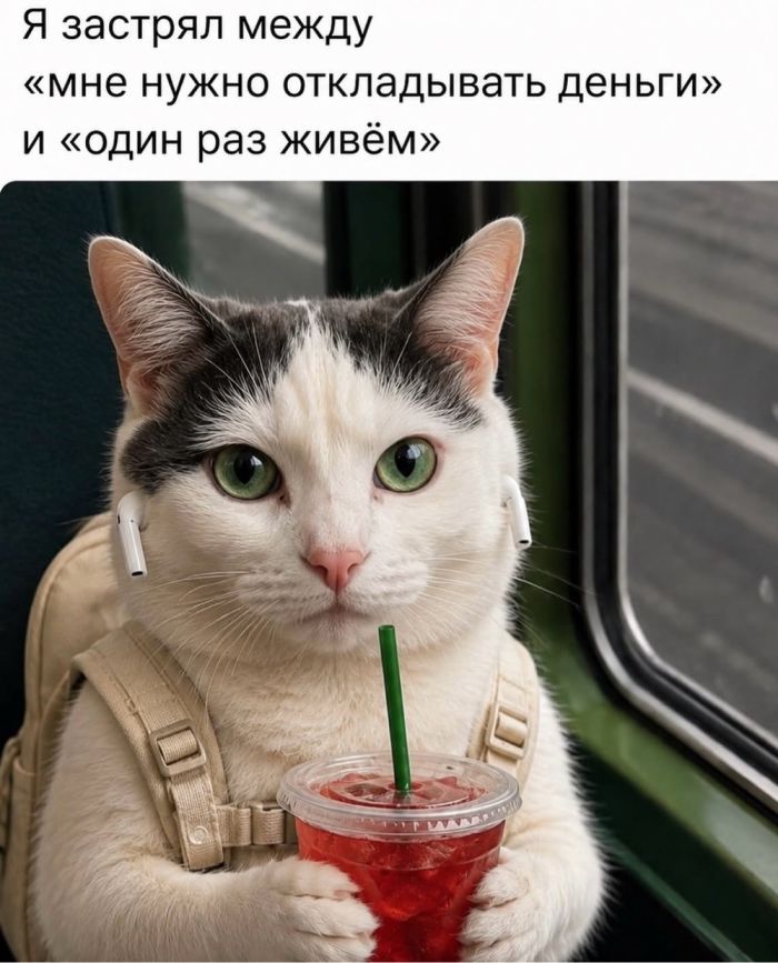 Пятничная терапия смехом ☕️✨ сегодня, осознание, выдохнуть, Самые, жизненные, недели, позитивные, фотографии, чтобы, чтото, небольшую, улыбнуться, легким, сердцем, закрыть, ноутбукДелитесь, комментариях, «антистрессподборку», Поэтому, подготовили