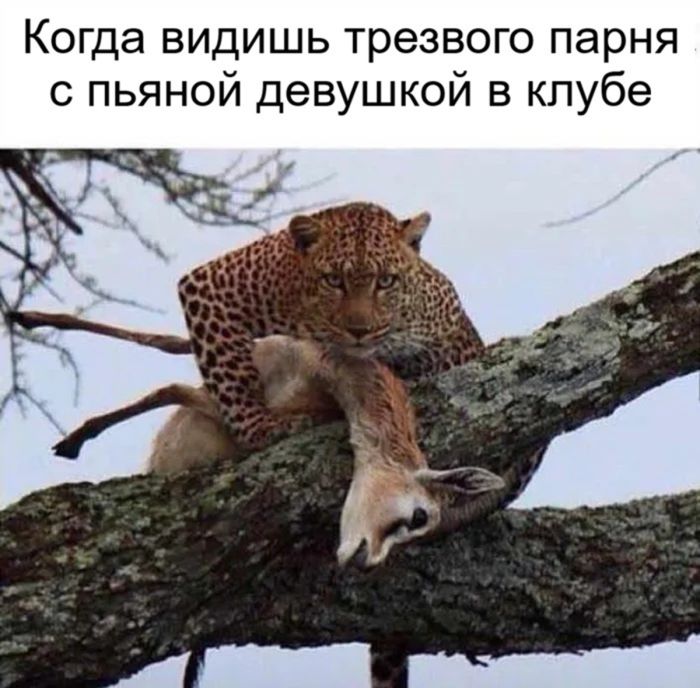 Пятница — маленькая жизнь! 🥂