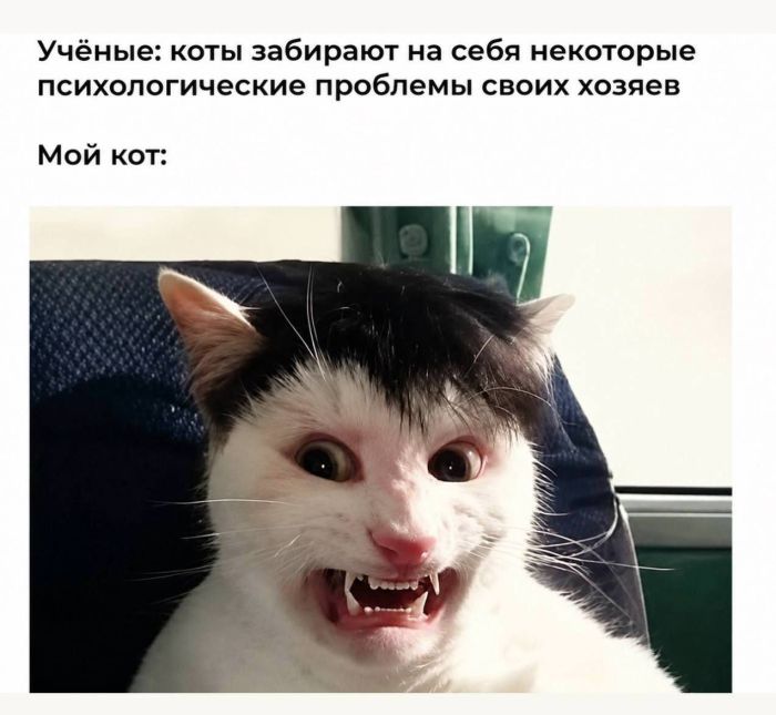 картинка 800390ad56 vremja vkljuchat ulybku na maksimum 13
