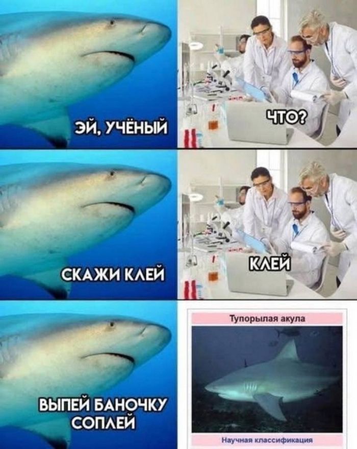 картинка 80be0ceb4d esli u vas vse esche est moralnye principy luchshe projdite mimo  18