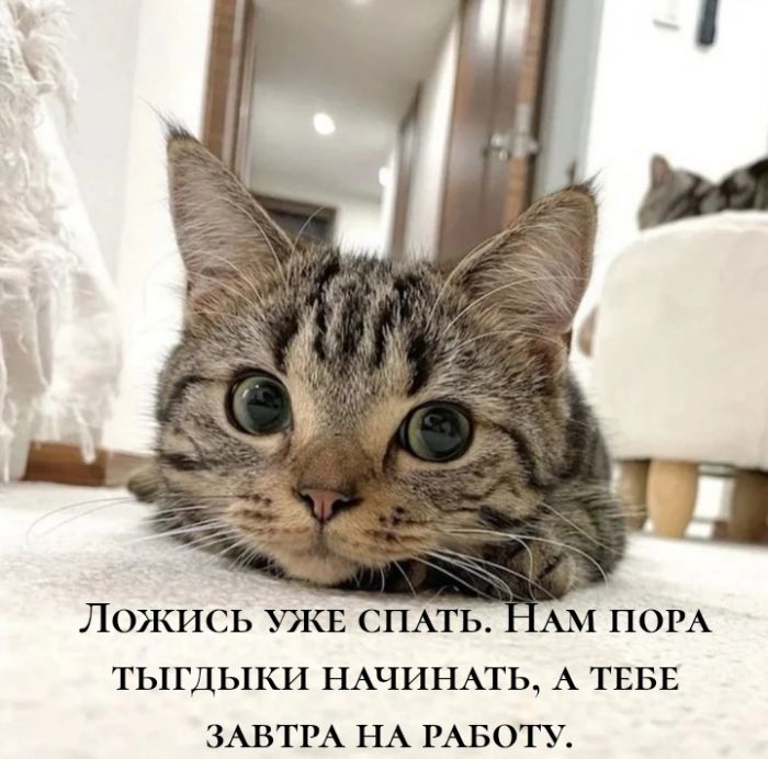 картинка 854750ba2f 1788189801