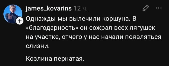 Утро не задалось? 😴 У нас есть план спасения: порция мемов и смешных комментариев. сегодня, переходите, позитивом, улыбаемся, потихоньку, настраиваемся, отличный, 💪Скорее, ссылке, кофе», пусть, хорошее, настроение, будет, первых, минут, 👇Предыдущая, Заряжаемся, чашка, будильник