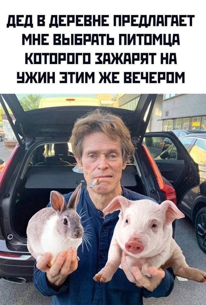картинка 8995007161 ostorozhno uroven toksichnosti zashkalivaet 0