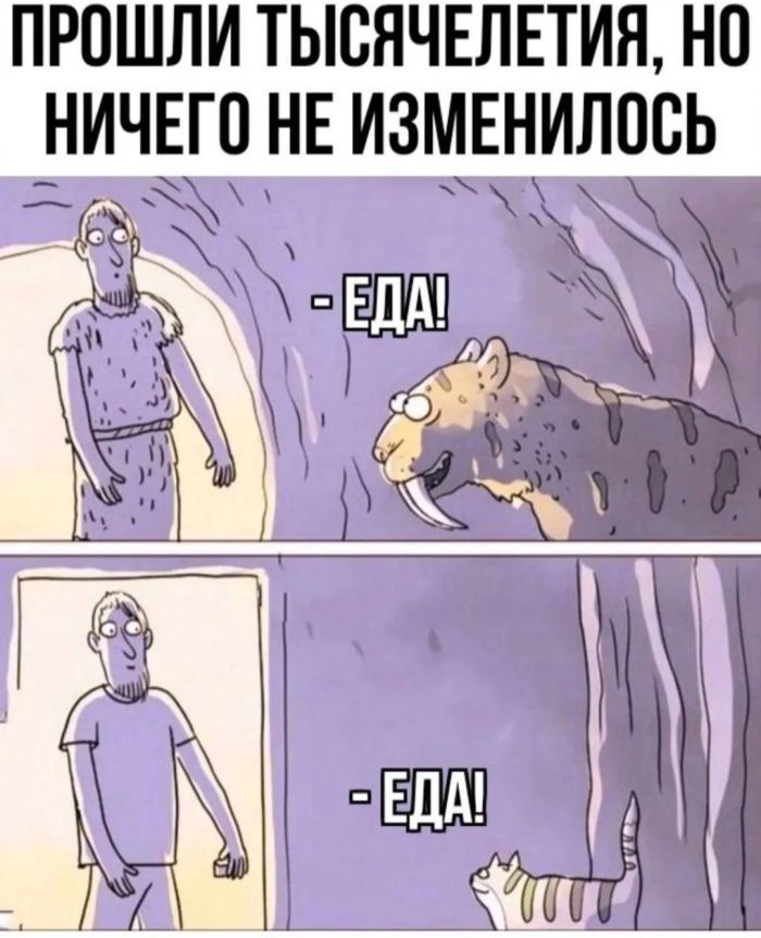 картинка 8ba6baf51f 00000