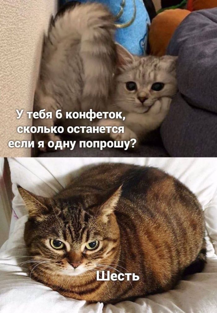 Пятница — официальный день «выживших»! 🥂 друзья, офисе, настроением, заряжайтесь, смейтесь, Листайте, момент, неделю, каждый, поймет, которые, юмора, отборного, порцию, собрали, удаленке, последние, дожили, казаться, Пятница