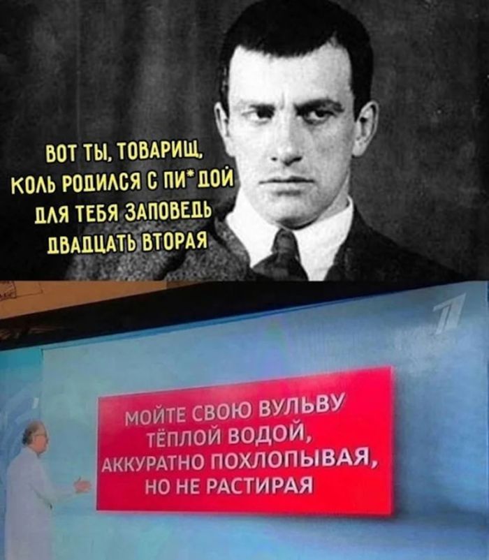 картинка 9068536b45 ostorozhno uroven toksichnosti i poshlosti zashkalivaet 19
