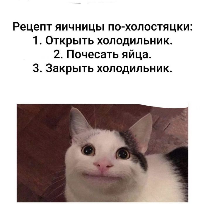 картинка 9305f8bcc7 00000000000
