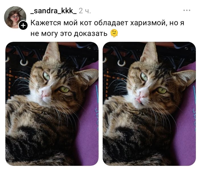 Утро не задалось? 😴 У нас есть план спасения: порция мемов и смешных комментариев. сегодня, переходите, позитивом, улыбаемся, потихоньку, настраиваемся, отличный, 💪Скорее, ссылке, кофе», пусть, хорошее, настроение, будет, первых, минут, 👇Предыдущая, Заряжаемся, чашка, будильник