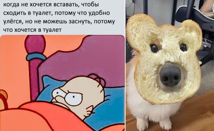 Экватор пройден! 🐪 Среда — это маленькая пятница, а значит, пора подзарядиться позитивом!