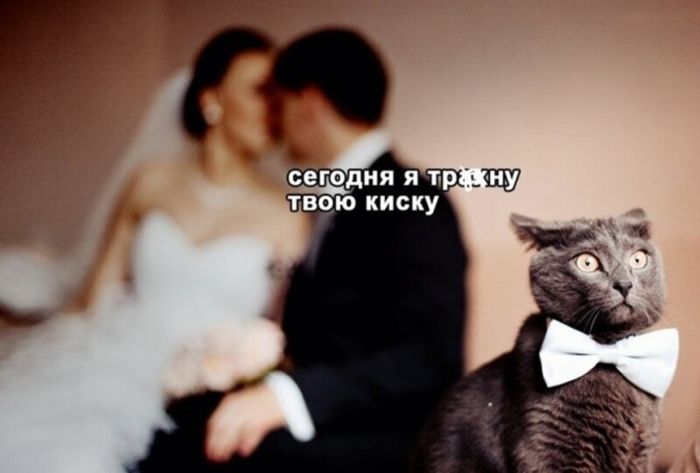🔞 Забудь про скуку: подборка юмора «с перчинкой»!