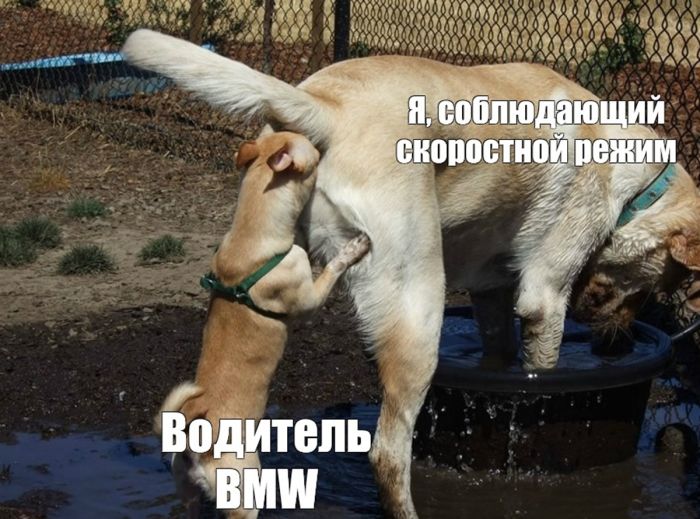 Хватит грустить — пора посмеяться! 🚀 просто, Друзья, которыми, Ситуации, которых, узнаешь, Немного, абсурдного, юмора, Картинки, поделиться, захочется, рутиныВ, друзьямиЗаваривайте, устраивайтесь, поудобнее, листайте, конца, заряд, позитива