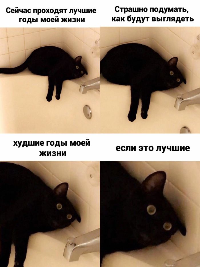 Понедельник — день тяжелый? Только не у нас! ☕️ Признавайтесь, тяжелый», новую, врываемся, позитивом, Заряжаемся, дыхании, одном, пройдет, понедельник, незаметно, пролетит, время, подборкой, нашей, «день, прошло, волнуЗабудьте, рабочую, настроиться