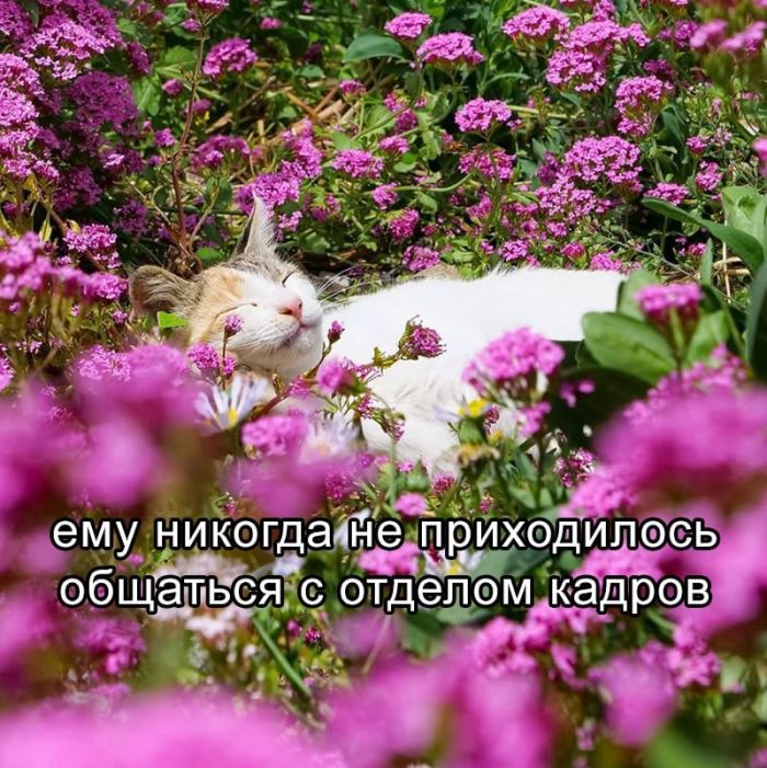 картинка 9e3391ab5d ostorozhno uroven cinizma zashkalivaet 18