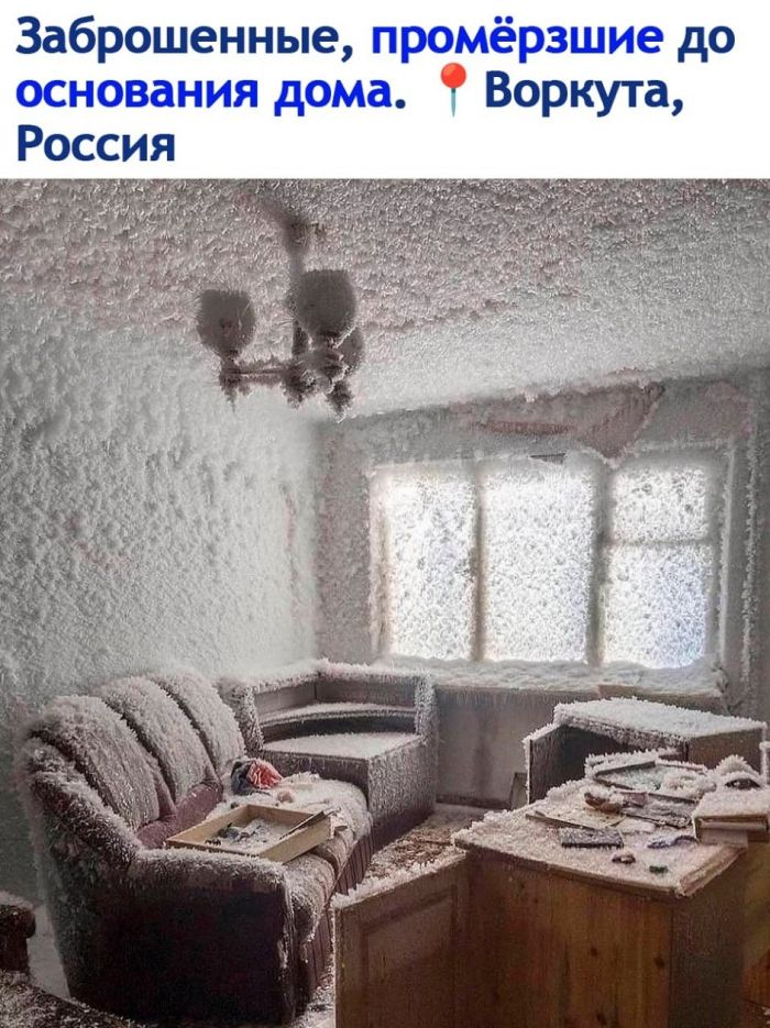 картинка 9f74e48174 21190302