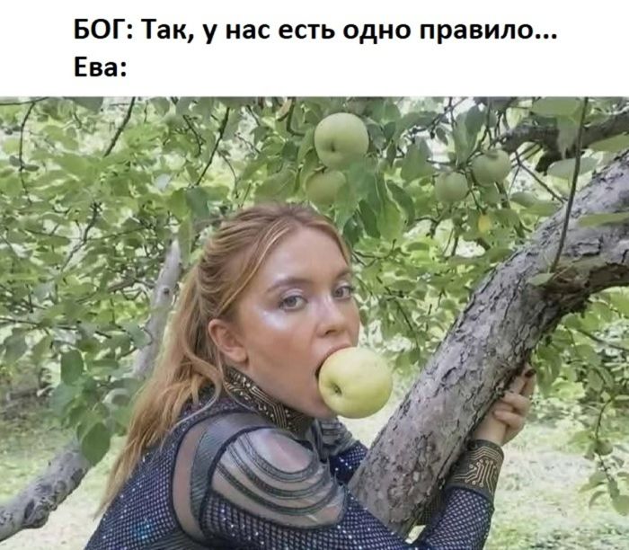 Черный юмор: когда мораль ушла в отпуск  💀