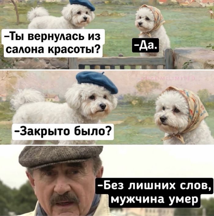 картинка a325629915 chernyj jumor kogda moral ushla v otpusk 8