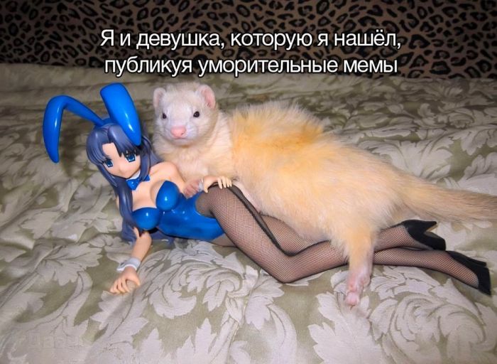 картинка a4ddb38926 0000000000000000000000
