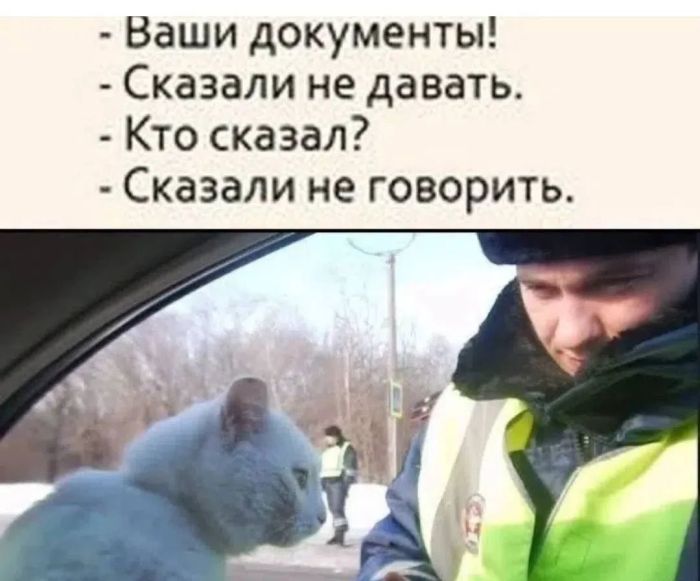 картинка a634314e25 000000