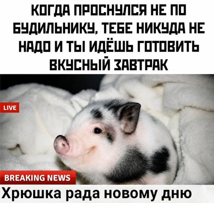 Понедельник — день тяжелый? Только не у нас! 😉