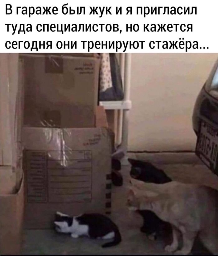Пятница — это маленькая жизнь, а конец рабочей недели — повод выдохнуть и наконец-то улыбнуться! 🥂 знаем, письма, поднимать, погнали, покрепче, чтото, наливайте, поудобнее, каждыйУстраивайтесь, поймет, которые, позитивных, мемов, время, сейчас, бесконечные, сильно, отчеты, дедлайны, Забудьте