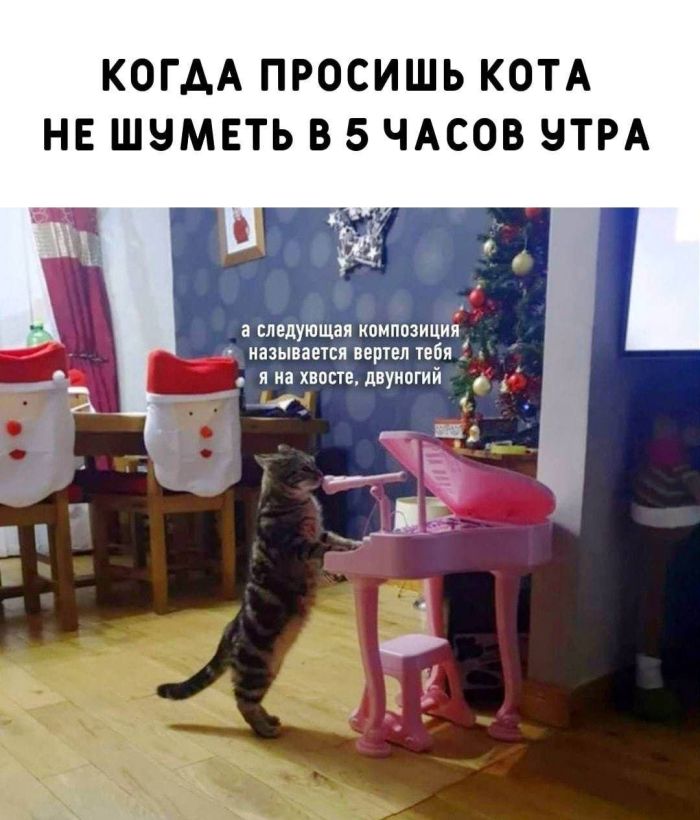 картинка b3a88b8bf5 nastroenie na nule sejchas ispravim 11