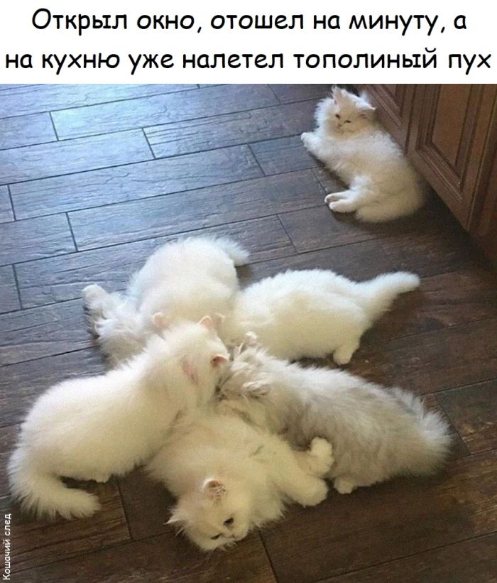 Устали от серых будней? Заряжаемся позитивом: свежая порция мемов и комментариев, которые сделают ваш день! которые, комментариях, самое, Бывают, 2010го, улыбнуться, выдохнуть, могли, чтобы, свежий, Только, «бородатых», анекдотов, силами, актуальное, только, отобрали, себяМы, узнает, каждый