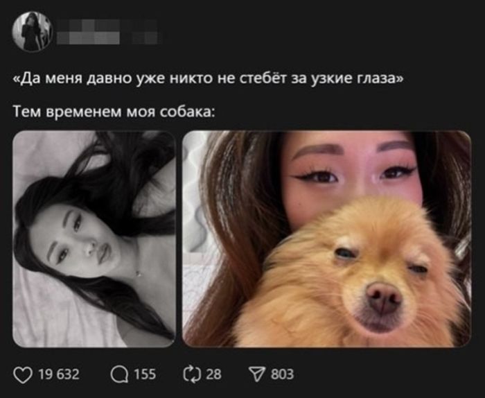 картинка bb1fdb8a2d vasha sovest segodnja otdyhaet porcija poshlogo jumora 3