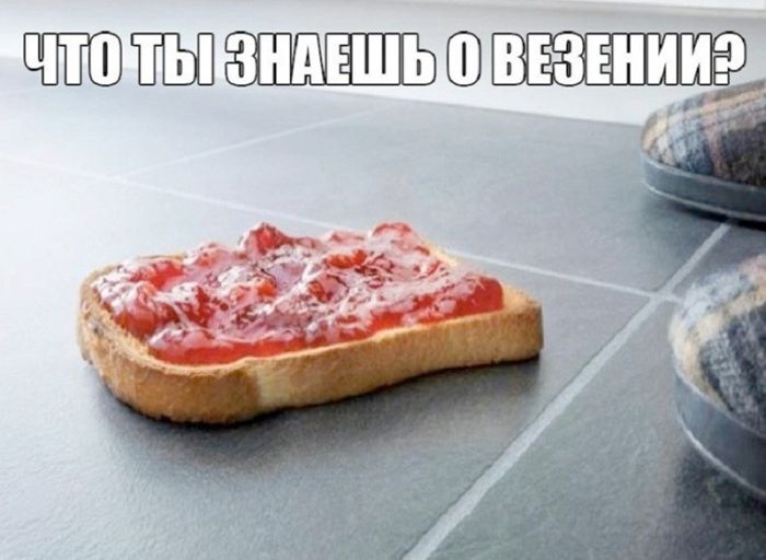 картинка bf85d60ac2 esli u vas vse esche est moralnye principy luchshe projdite mimo  3