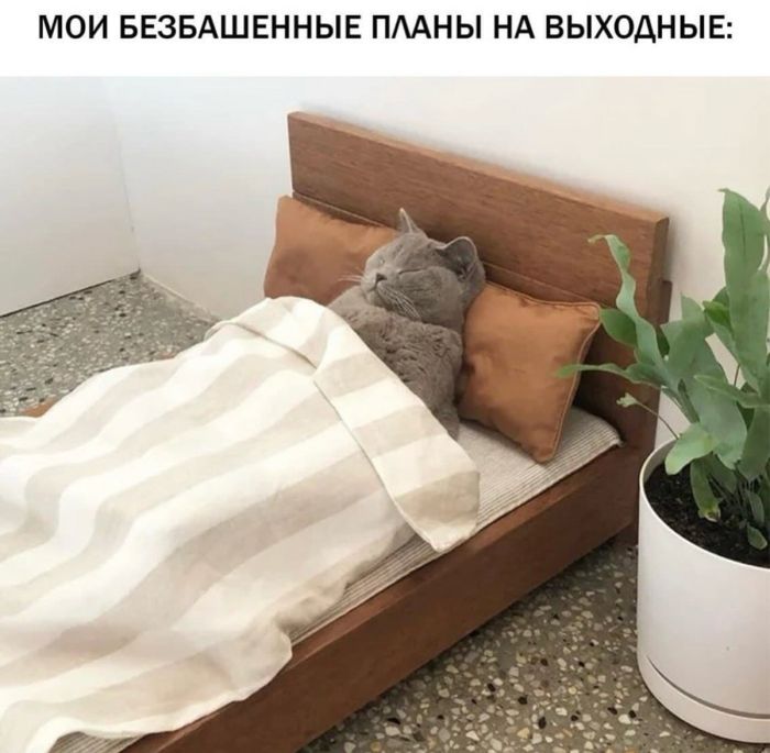 картинка c00e677c43 ostorozhno uroven cinizma zashkalivaet 10