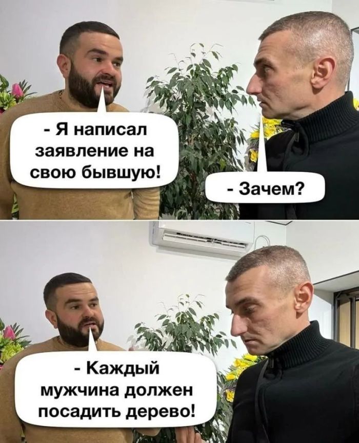 картинка c286088df6 sbornik memov porcija pozitiva chtoby raskrasit den 7