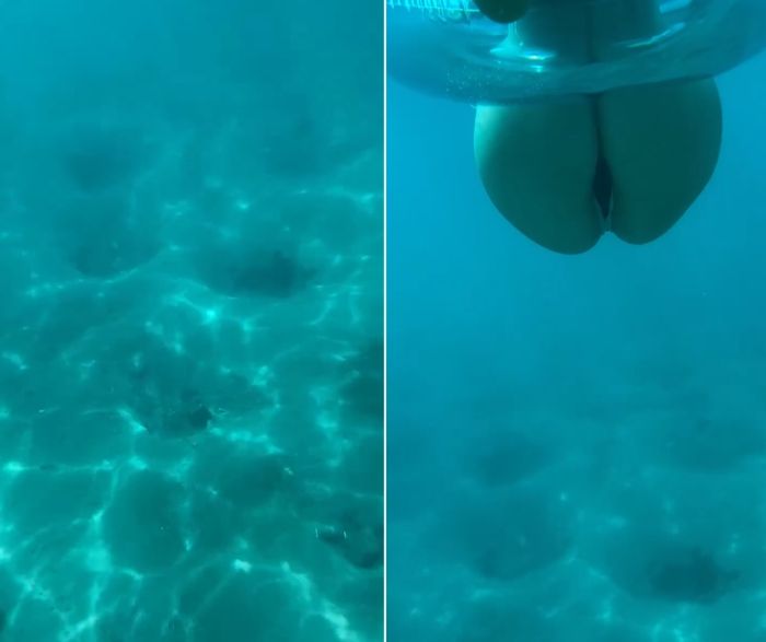 Как рыбы видят под водой купающихся