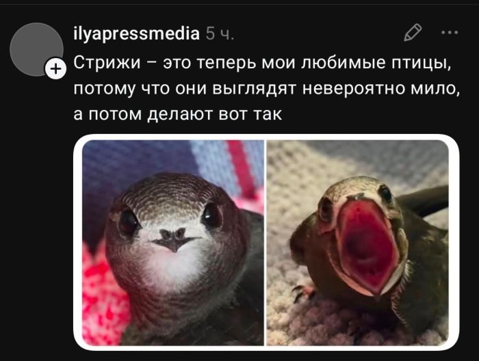 Заряжаемся на позитив! Новая порция мемов уже здесь 🚀 которые, посмеяться, Устали, слов», комментарии, смешнее, самих, постовХватит, грустить, листайте, заряжайтесь, настроением, делитесь, друзьями, чтобы, вместе, 👇Предыдущая, «понимают, жизненные, ситуации