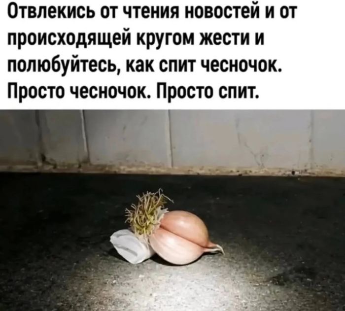 картинка c72912ec42 21190336