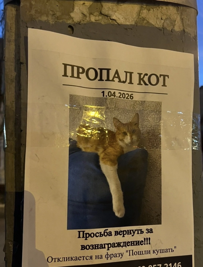 картинка c8f5156619 000000000000000