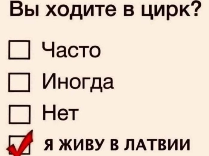 Пятничная терапия смехом ☕️✨ сегодня, осознание, выдохнуть, Самые, жизненные, недели, позитивные, фотографии, чтобы, чтото, небольшую, улыбнуться, легким, сердцем, закрыть, ноутбукДелитесь, комментариях, «антистрессподборку», Поэтому, подготовили