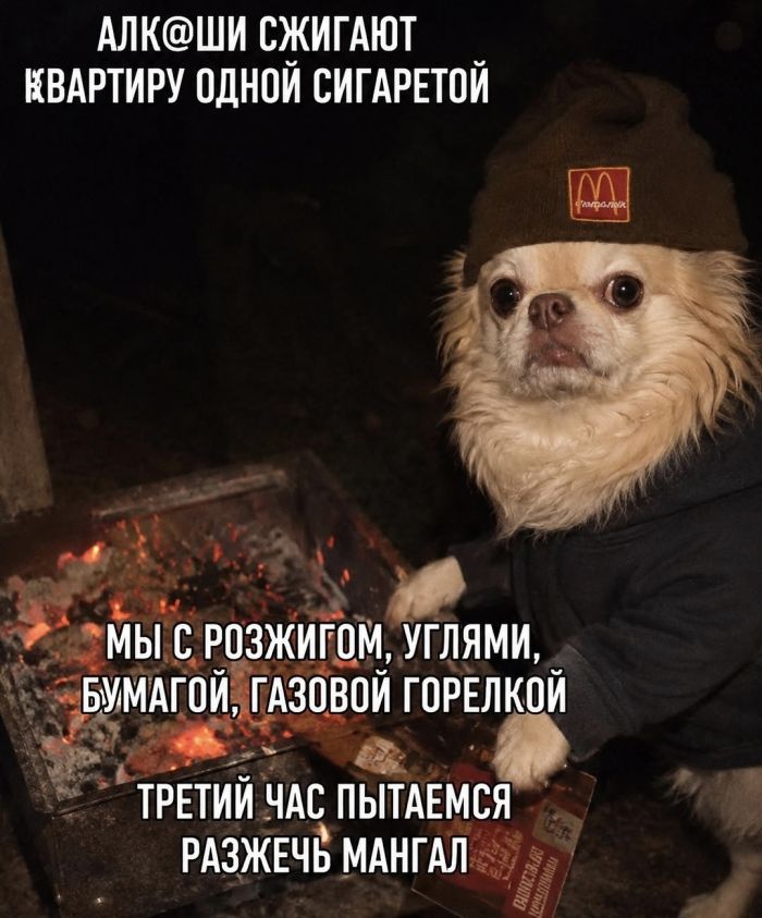Среда — это маленькая пятница, а значит, пора добавить в неё немного юмора! ✨ Среда — это маленькая пятница, а значит, пора добавить в неё немного юмора! ✨ Собрали, Листайте, будет, сегодня, настроение, пусть, друзьями, делитесь, смейтесь, улыбкой, новую, недели, середину, пережить, помогут, которые, мемов, порцию, высоте