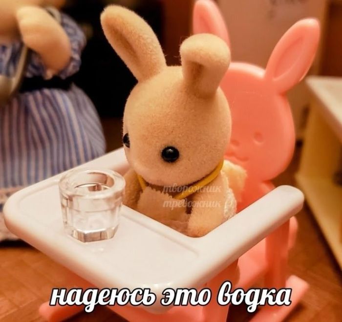картинка ca4385d4fe 000000