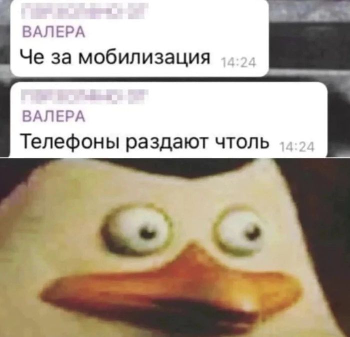 Устали от серых будней? Заряжаемся позитивом: свежая порция мемов и комментариев, которые сделают ваш день! которые, комментариях, самое, Бывают, 2010го, улыбнуться, выдохнуть, могли, чтобы, свежий, Только, «бородатых», анекдотов, силами, актуальное, только, отобрали, себяМы, узнает, каждый