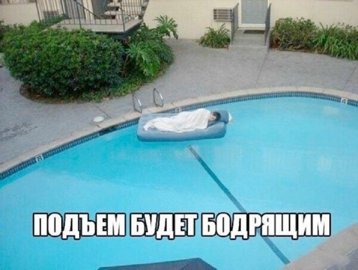 картинка cf59659667 21190295