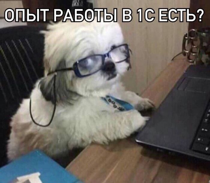 Рабочая неделя официально повержена! 🥊 Рабочая неделя официально повержена! 🥊 Чтобы, эндорфинов, самое, конца, собойЛистайте, улетучатся, мысли, рабочие, небес, подскочит, уровень, переход, Гарантируем, мемов, свежий, собрали, плавно, максимально, прошел, «выходные»