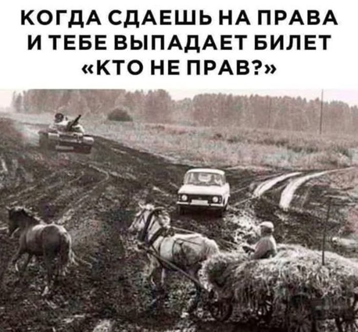 картинка d4cf92002d ostorozhno uroven toksichnosti i poshlosti zashkalivaet 38