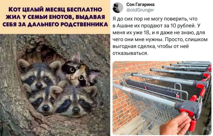Хватит грустить! Заряжаемся позитивом на весь день! 🚀