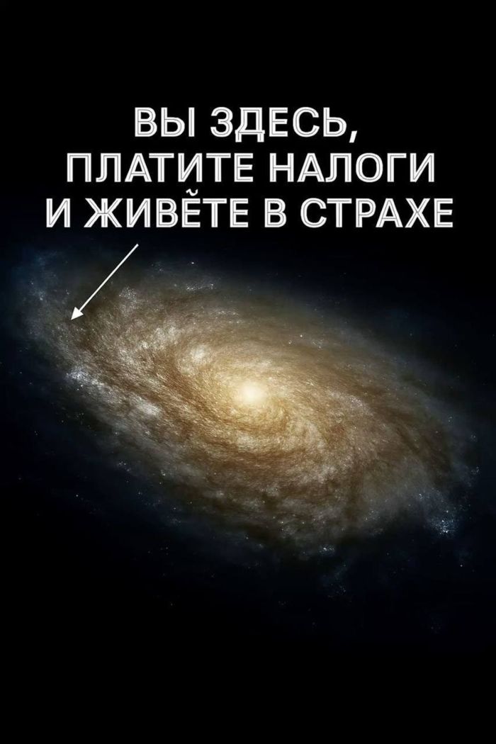 картинка d835af098e jumor ne dlja vseh  a dlja teh u kogo stalnye nervy 4